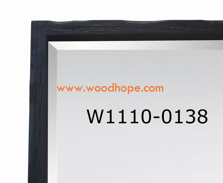 W1110-0138 特写 2#